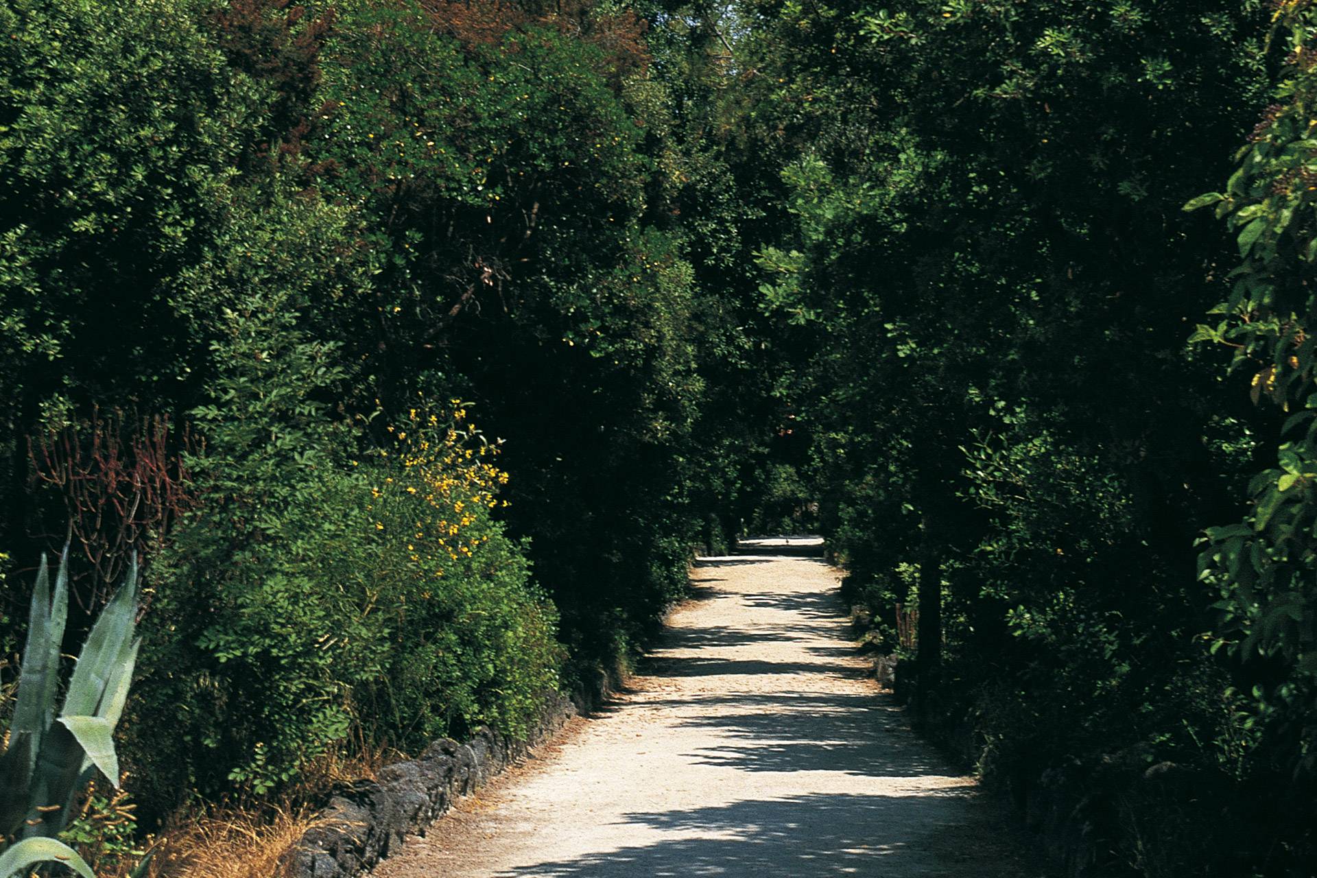 Alla scoperta dei parchi pubblici di Ischia