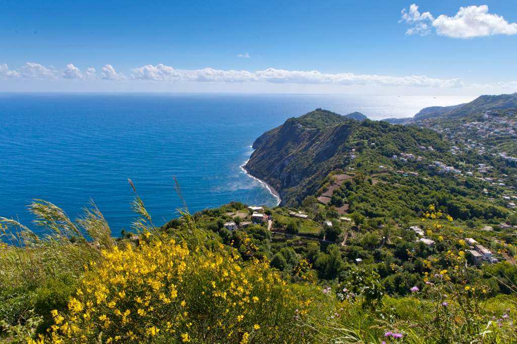 Esplorate il cuore verde di Ischia un’esperienza unica in un caleidoscopico universo naturale