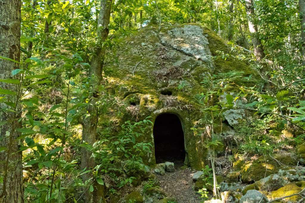Il bosco della Falanga, tra case rupestri e antichi palmenti