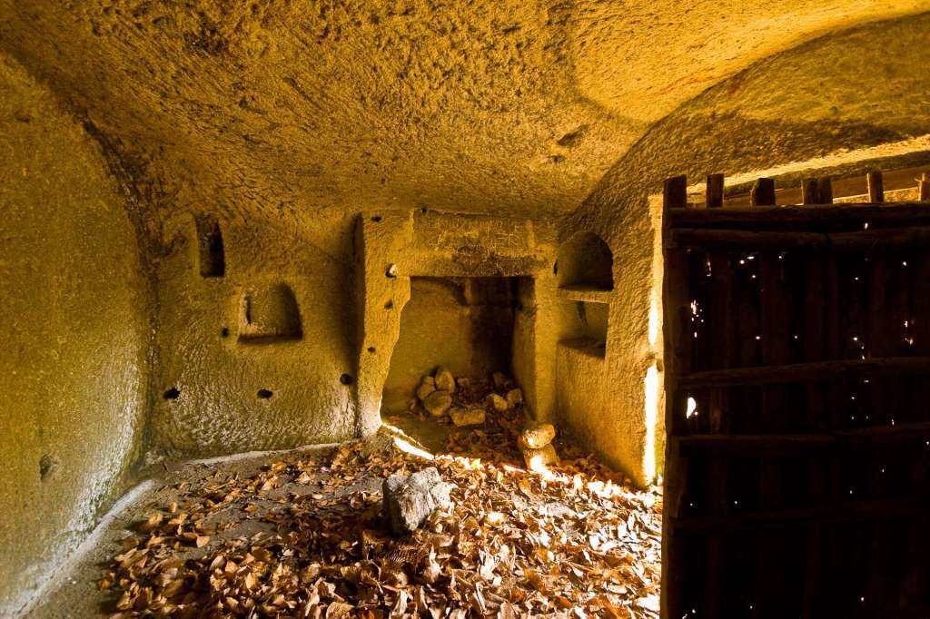 Il magnifico autunno ischitano: novembre tempo di vino novello, funghi e castagne