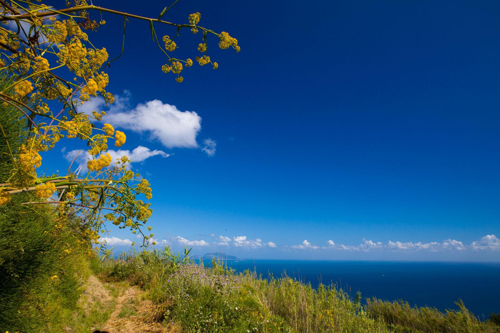 Un tour alla scoperta della natura isolana